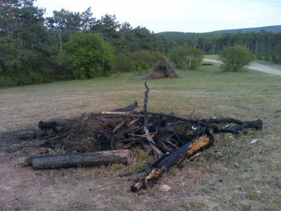 Прикрепленное изображение: DSC00342.JPG